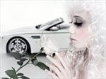 V8 Vantage Volante Blanc de Blancs