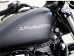 Sportster Iron 883