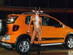 VW CrossFox 2011