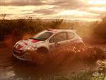 Rally Argentina