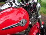 Harley Davidson Fat Bob