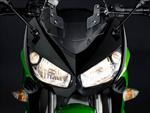Kawasaki Z1000SX