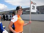 Belleza en pista WTCC