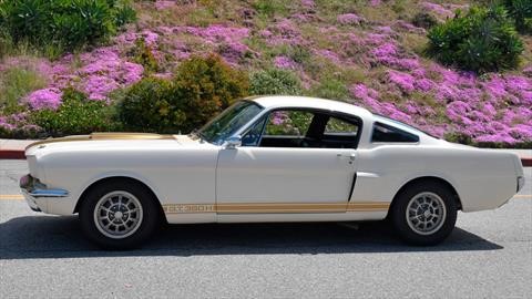 Mustang Shelby GT350H 1966 por Bring a Trailer