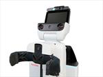 Toyota Human Support Robot