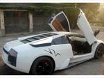 Shanzhai Lamborghini