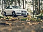 Audi SQ5 2014