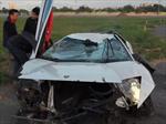 Un Murciélago con las alas rotas
