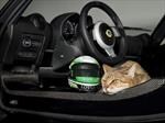 Casco para gato de Lotus