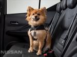 Accesorios para viajar con tu mascota en el auto