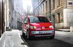 Volkswagen Cross Up! 2014, primeras imágenes