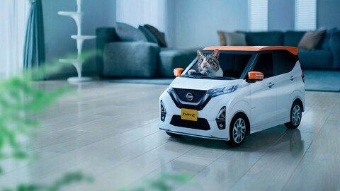 Nissan Dayz para gatos