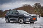 Subaru Forester 2019 - Lanzamiento Regional