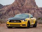 Shelby Terlingua Mustang