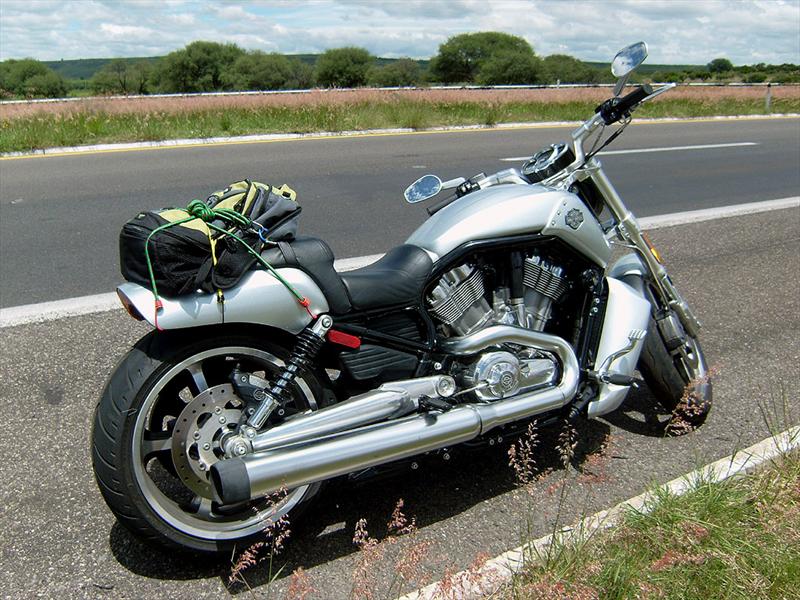 Harley Davidson V-Rod Muscle