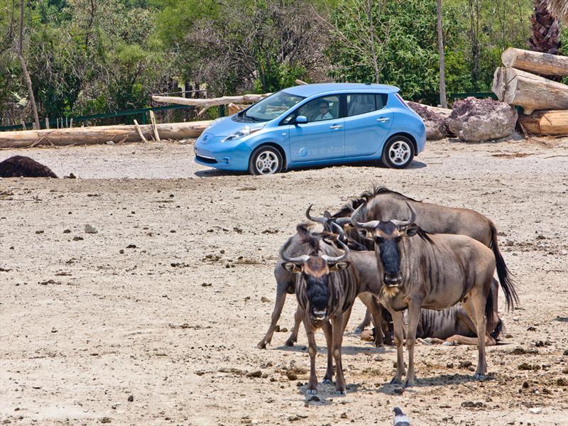 Nissan Leaf 2011 Africam Safari