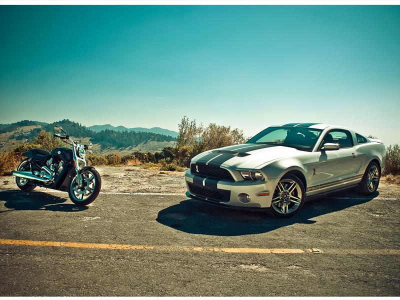 Shelby GT500 y V Rod Muscle