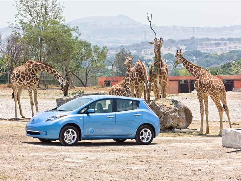 Nissan Leaf 2011 Africam Safari