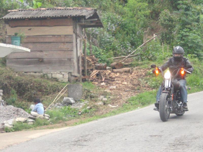 Harley Davidson Cross Bones