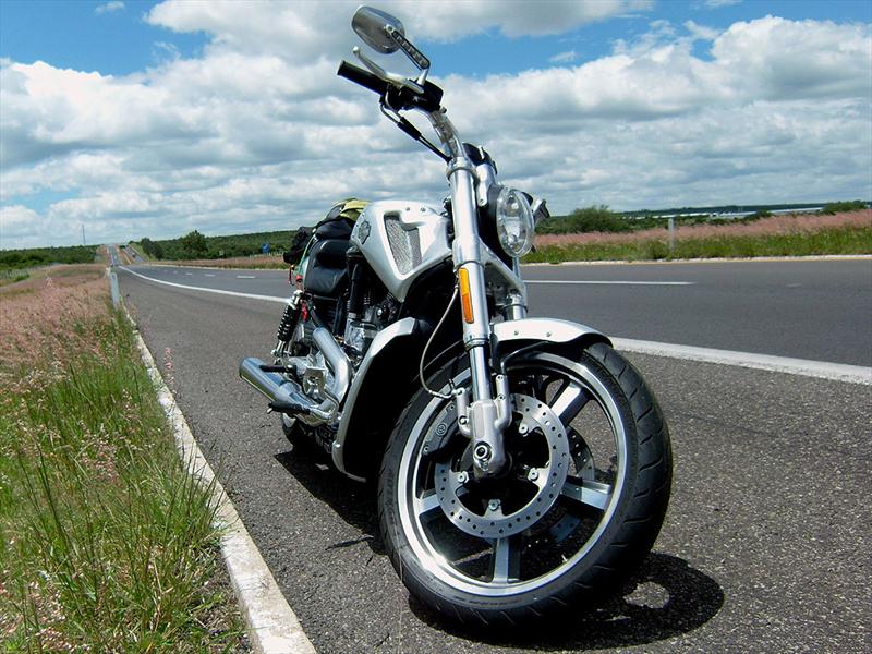 Harley Davidson V-Rod Muscle
