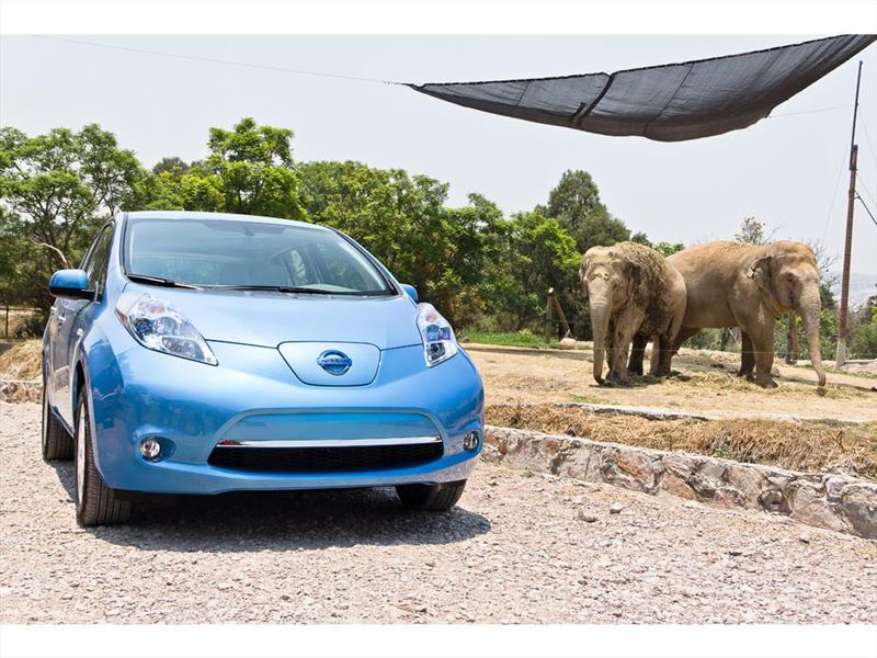 Nissan Leaf 2011 Africam Safari