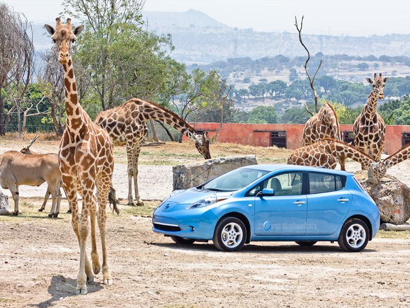 Nissan Leaf 2011 Africam Safari