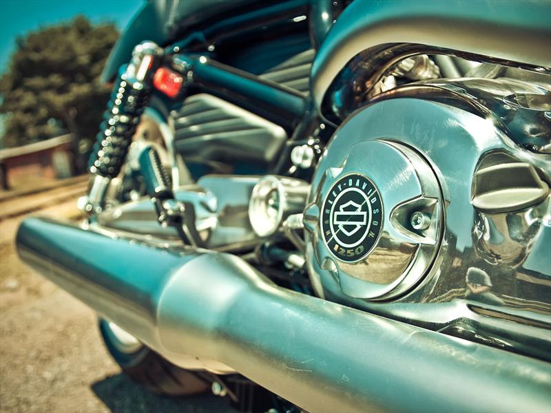 Shelby GT500 y V Rod Muscle