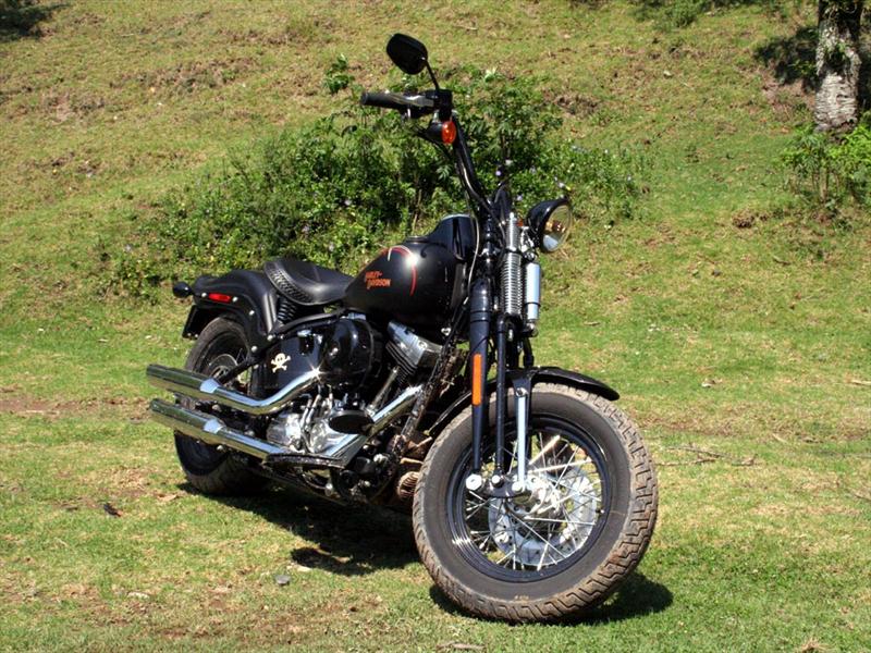 Harley Davidson Cross Bones