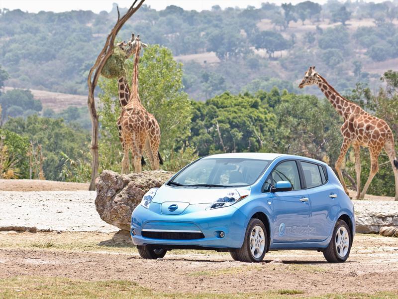 Nissan Leaf 2011 Africam Safari