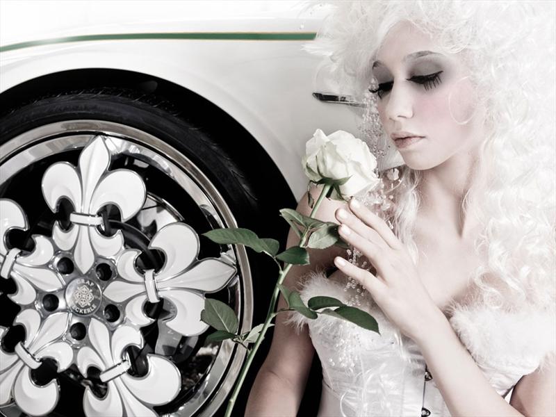 V8 Vantage Volante Blanc de Blancs