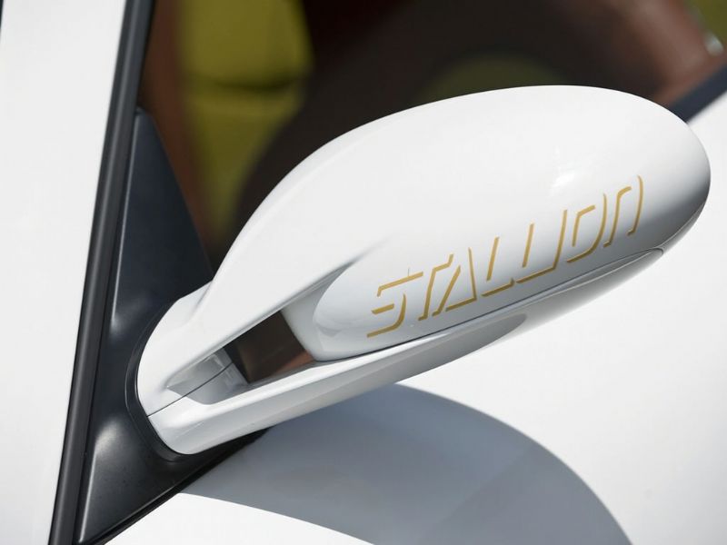 Hamman Stallion