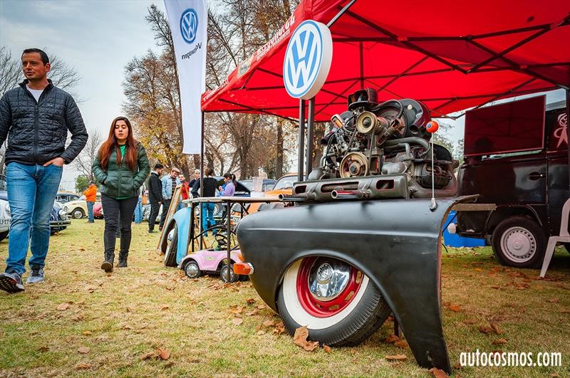 Dia del Escarabajo 2018