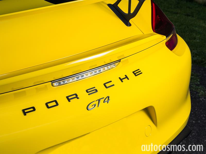 Porsche Cayman GT4 2015