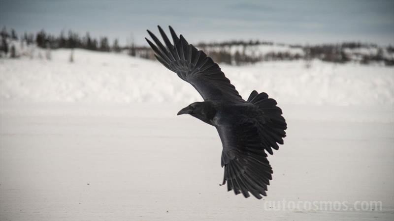 Manejando en caminos de hielo