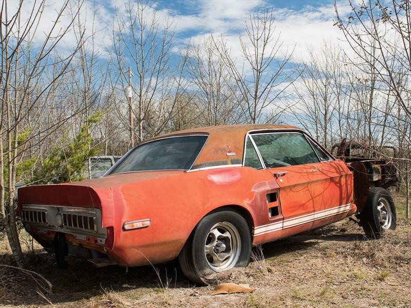 Ford Mustang Shelby GT500 EXP