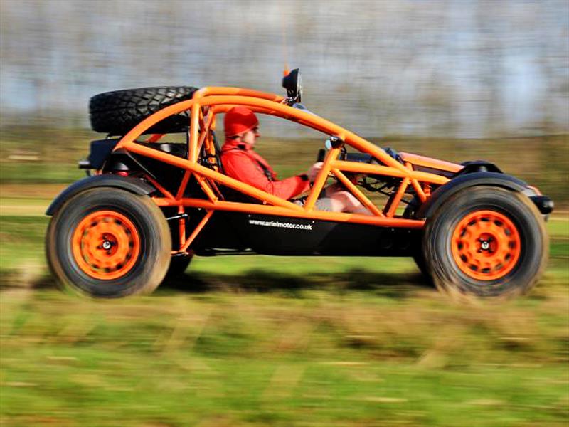 Ariel Nomad