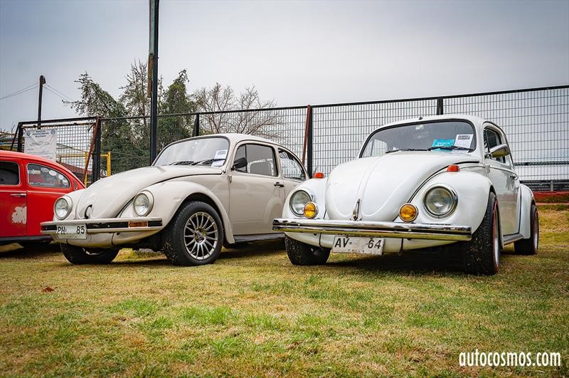 Dia del Escarabajo 2018