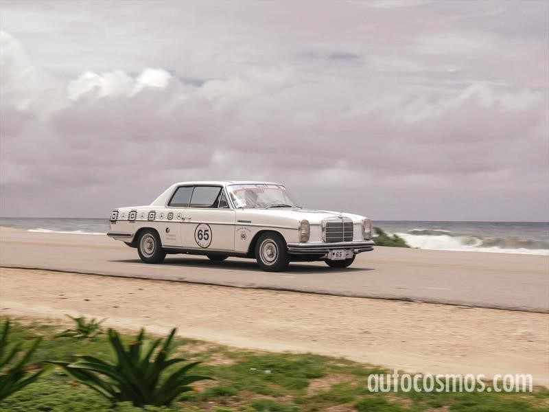Rally Maya 2018
