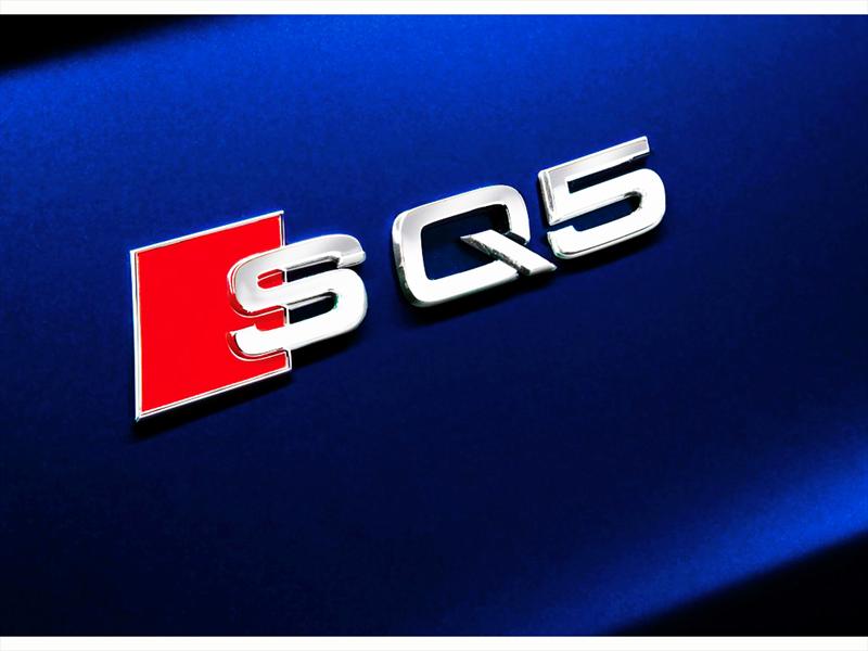 Audi SQ5 TDI