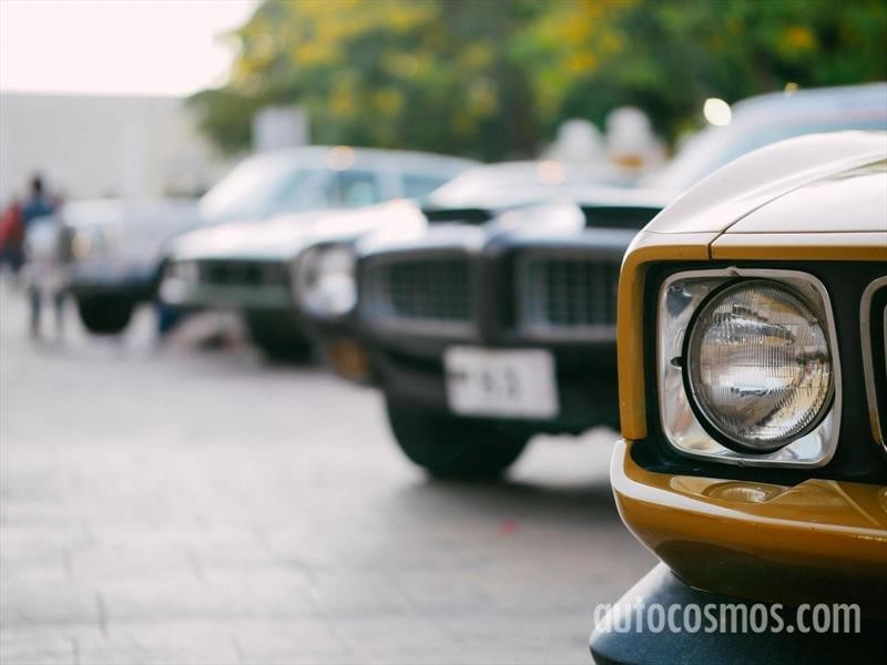 Rally Maya 2018