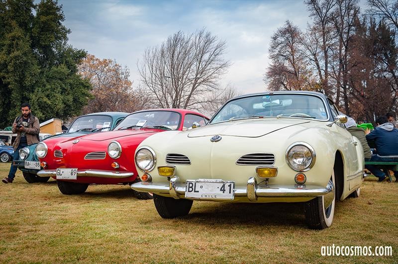 Dia del Escarabajo 2018