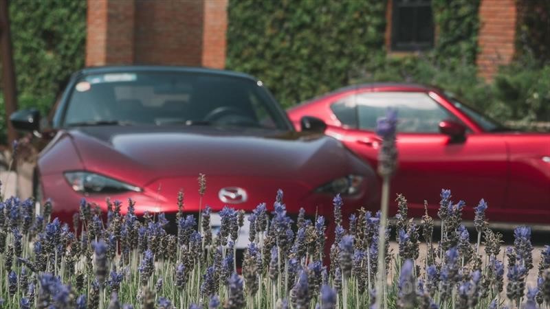 Mazda MX-5 vs Mazda MX-5 RF