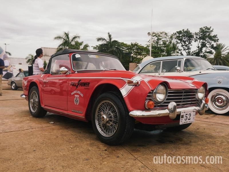 Rally Maya 2018
