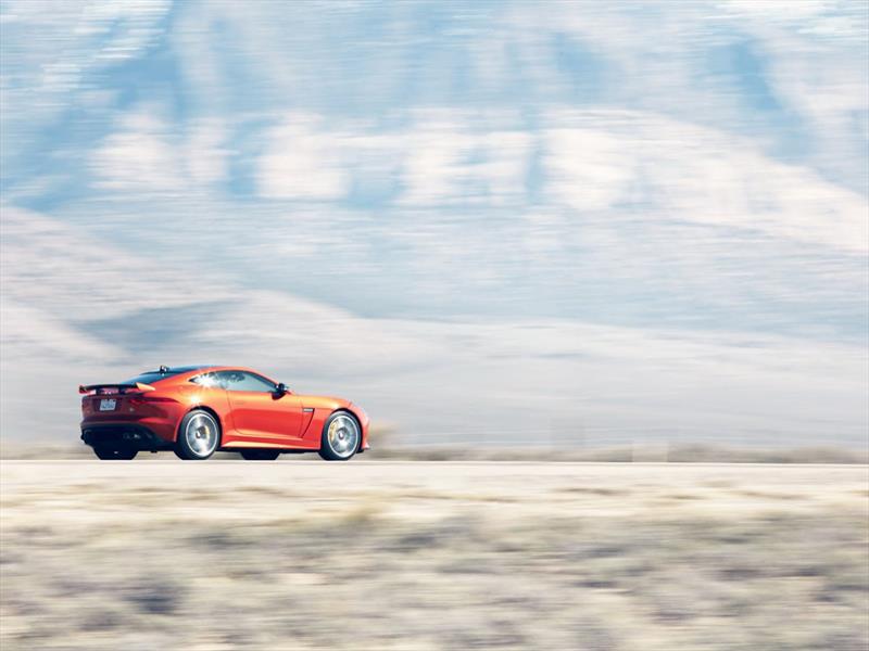 Michelle Rodríguez y Jaguar