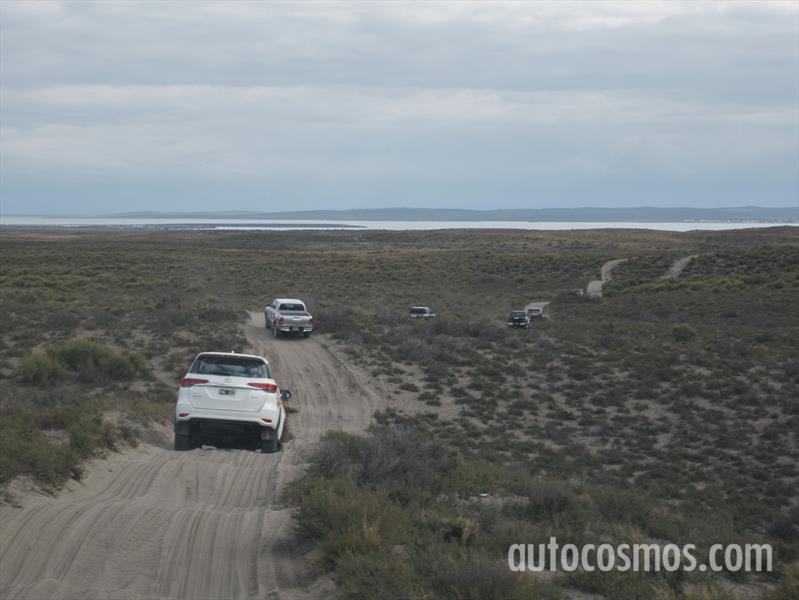 Desafío Ruta 40 junto a Toyota