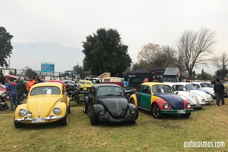 Dia del Escarabajo 2018