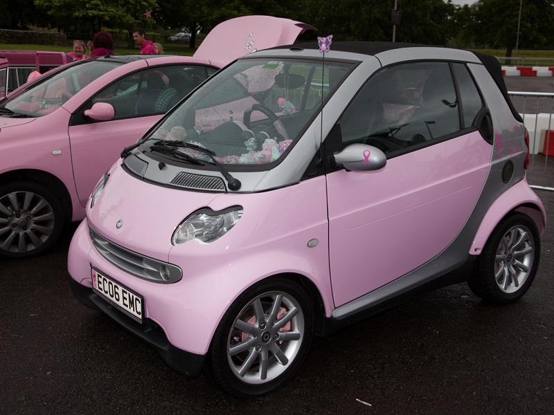 Simply Pink rally