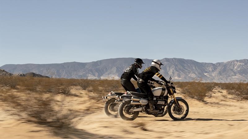 Triumph Scrambler 1200 2019