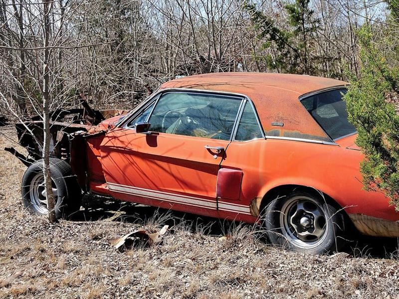 Ford Mustang Shelby GT500 EXP