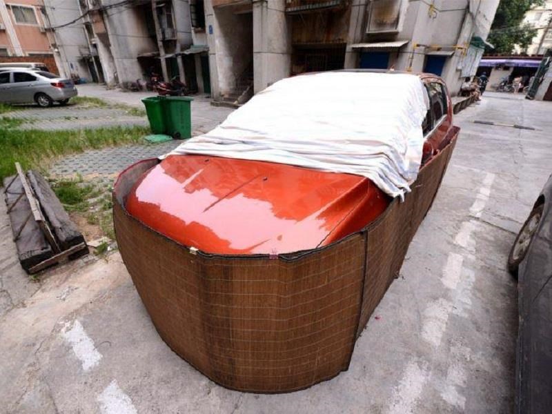 Conductores protegen a sus autos de las ratas